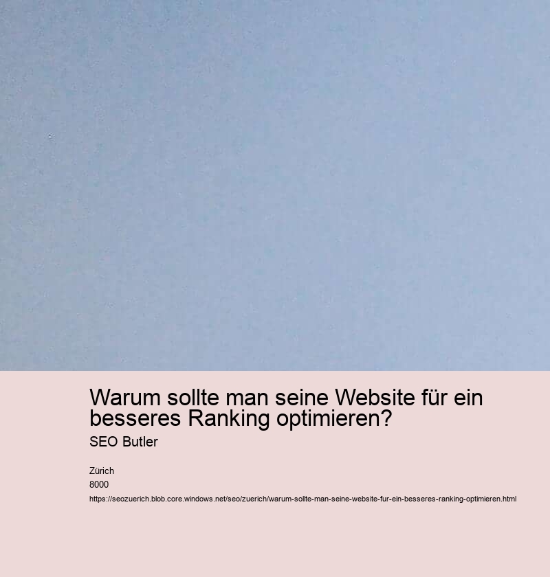 Warum sollte man seine Website für ein besseres Ranking optimieren? SEO Butler