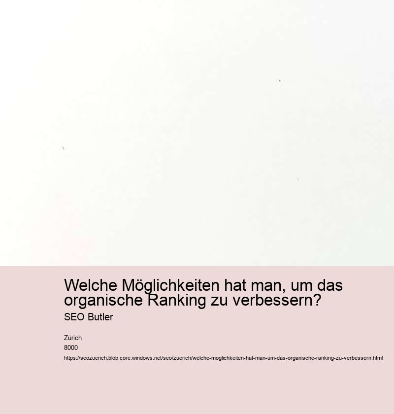Welche Möglichkeiten hat man, um das organische Ranking zu verbessern? SEO Butler