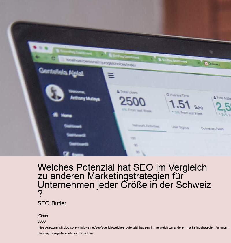 Welches Potenzial hat SEO im Vergleich zu anderen Marketingstrategien für Unternehmen jeder Größe in der Schweiz ? SEO Butler
