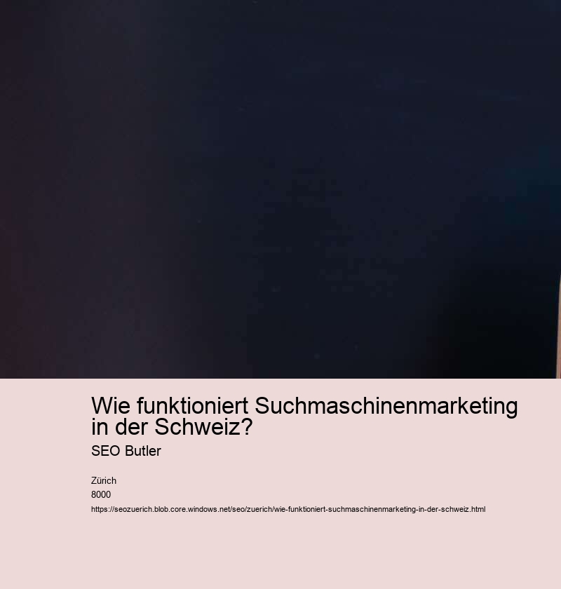 Wie funktioniert Suchmaschinenmarketing in der Schweiz? SEO Butler